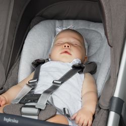 Baby Snug Pad de Inglesina