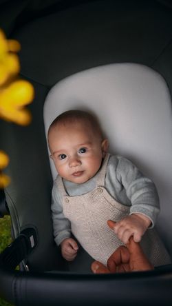 Bugaboo Fox Cub Dúo