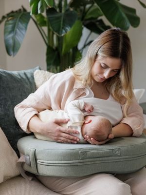 Cojín de lactancia Elysia de Inglesina Balance Green