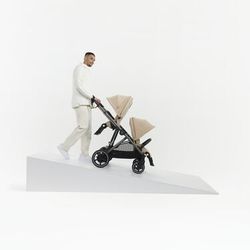 Cybex E-Gazelle Capazo y silla