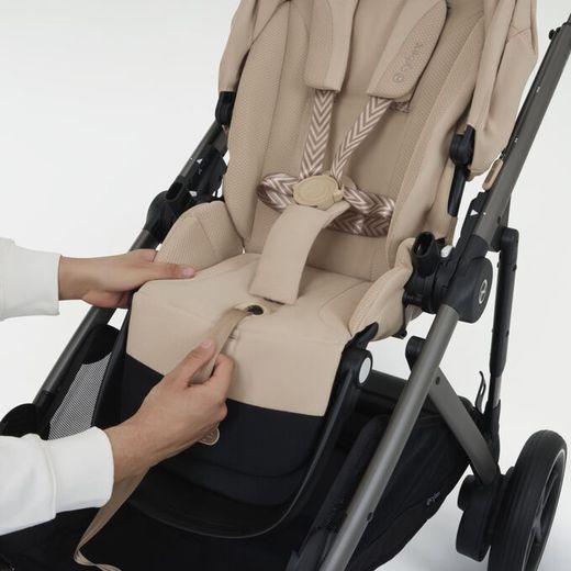 Cybex E-Gazelle Capazo y silla