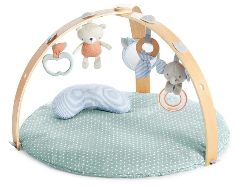 Gimnasio actividades Ingenuity