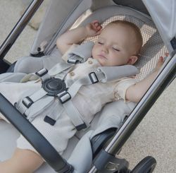 Inglesina Aptica System duo 2025