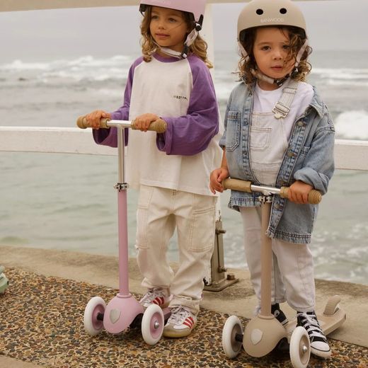 Patinete Banwood Eco Scooter