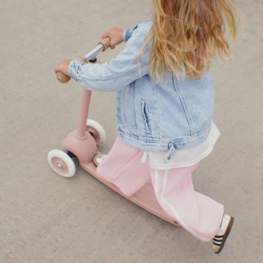 Patinete Banwood Eco Scooter