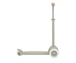 Patinete Banwood Eco Scooter