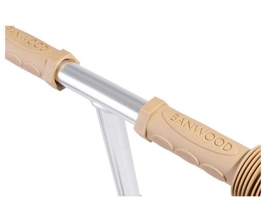 Patinete Banwood Eco Scooter
