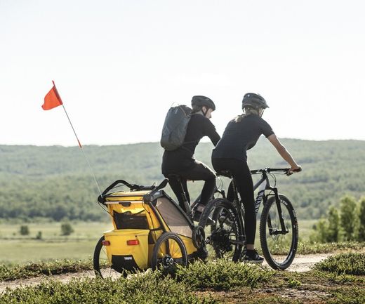 Remolque Thule Chariot Sport 2 G3 double para bicicletas