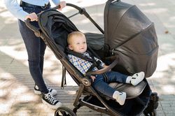 Silla de paseo gemelar Venttwin + Niu