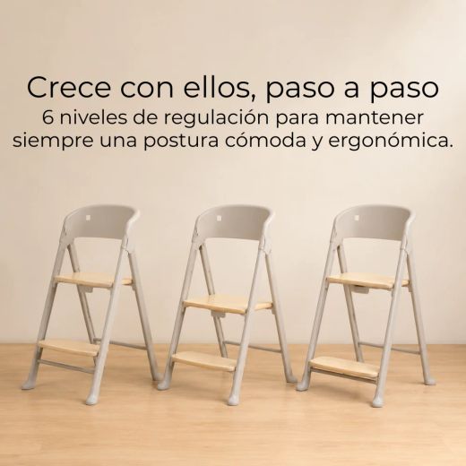 Trona evolutiva 3 en 1 Vida