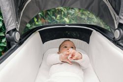 UPPAbaby VISTA V3 Dúo