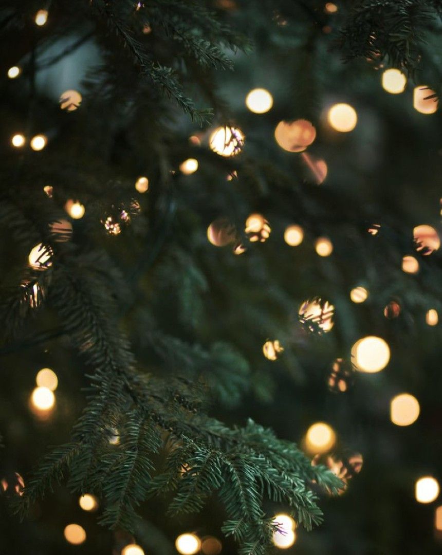 NAVIDAD🎄 — LAS4LUNAS